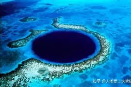 约基奇CBA外援新规赛后发声(约基奇cba外援新规赛后发声是真的吗)